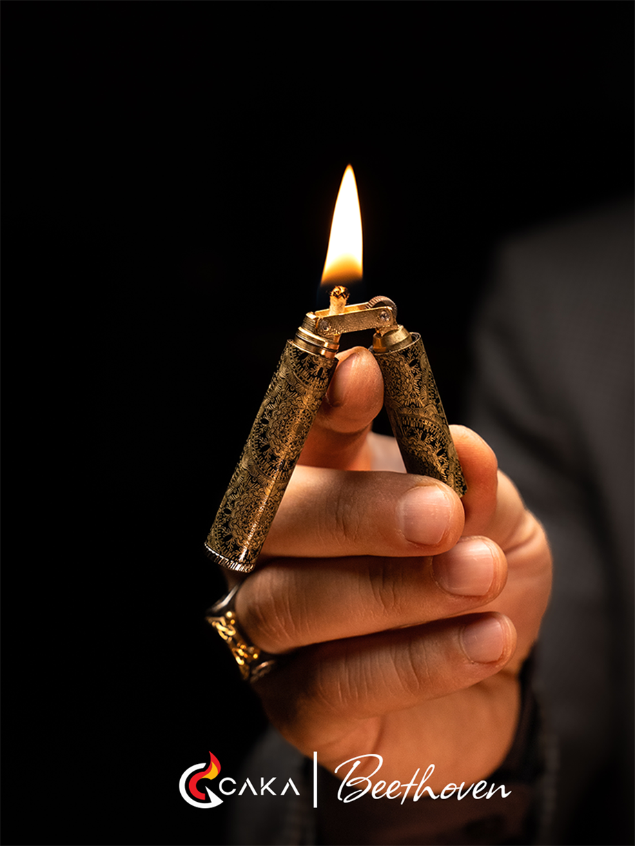 Slim Serisi – Beethoven