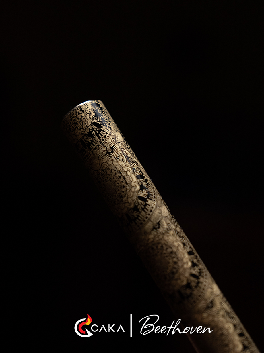 Slim Serisi – Beethoven